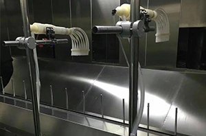 13858928298（微信同号）